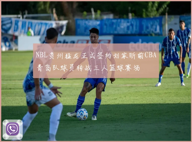 NBL贵州猛龙正式签约刘家昕前CBA青岛队球员转战三人篮球赛场
