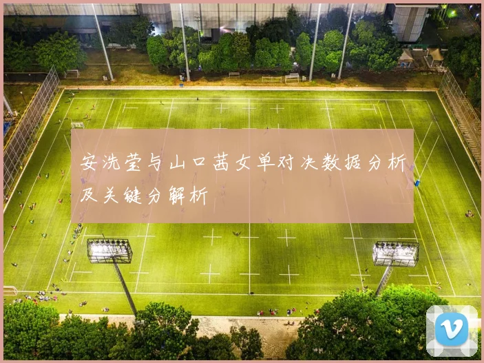 安洗莹与山口茜女单对决数据分析及关键分解析