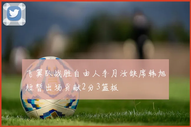 飞翼队战胜自由人李月汝缺席韩旭短暂出场贡献2分3篮板